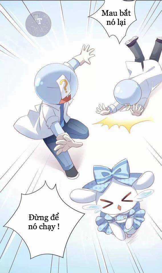 Dưới Móng Vuốt Mèo - Chapter 15 - Trang 14