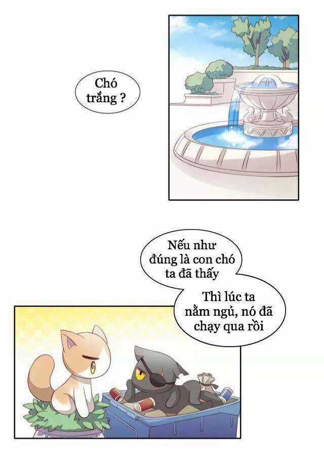 Dưới Móng Vuốt Mèo - Chapter 15 - Trang 16