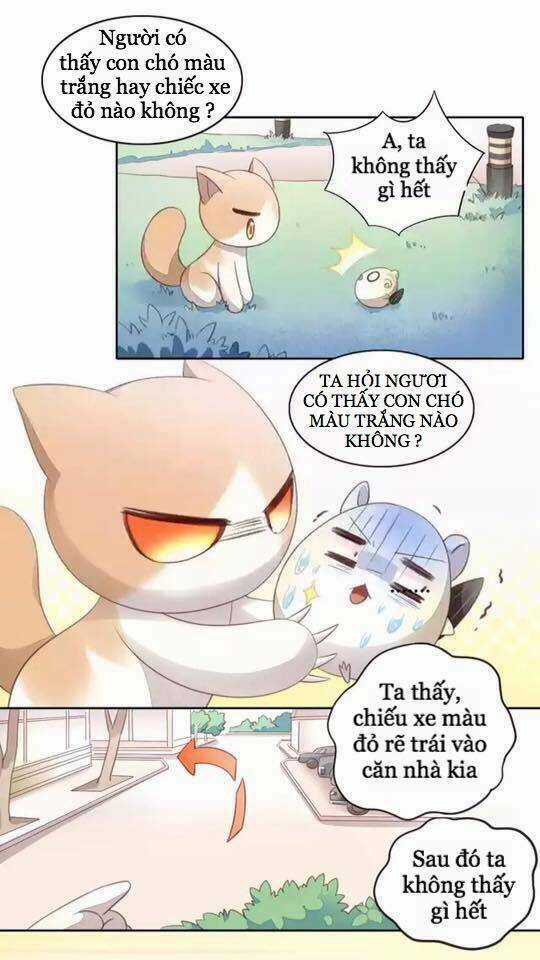 Dưới Móng Vuốt Mèo - Chapter 15 - Trang 17