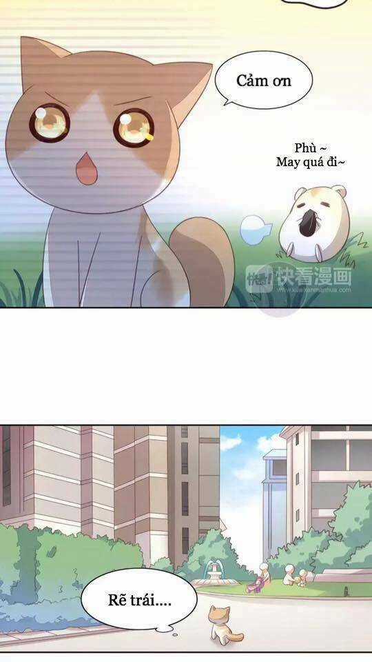 Dưới Móng Vuốt Mèo - Chapter 15 - Trang 18