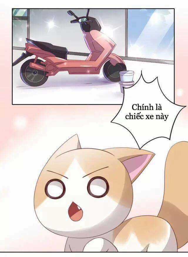 Dưới Móng Vuốt Mèo - Chapter 15 - Trang 20