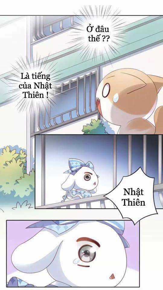 Dưới Móng Vuốt Mèo - Chapter 15 - Trang 22