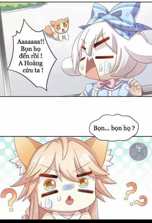Dưới Móng Vuốt Mèo - Chapter 15 - Trang 26