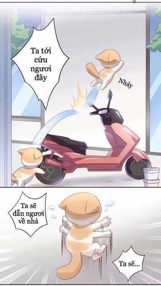 Dưới Móng Vuốt Mèo - Chapter 15 - Trang 29