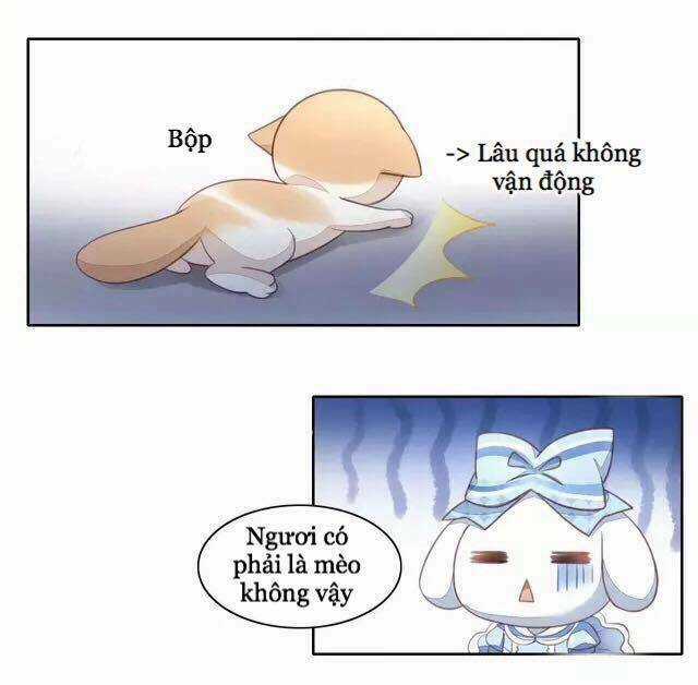 Dưới Móng Vuốt Mèo - Chapter 15 - Trang 30