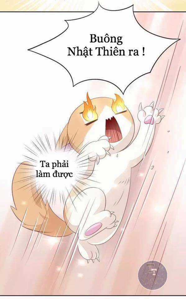 Dưới Móng Vuốt Mèo - Chapter 15 - Trang 33