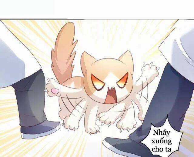 Dưới Móng Vuốt Mèo - Chapter 15 - Trang 35