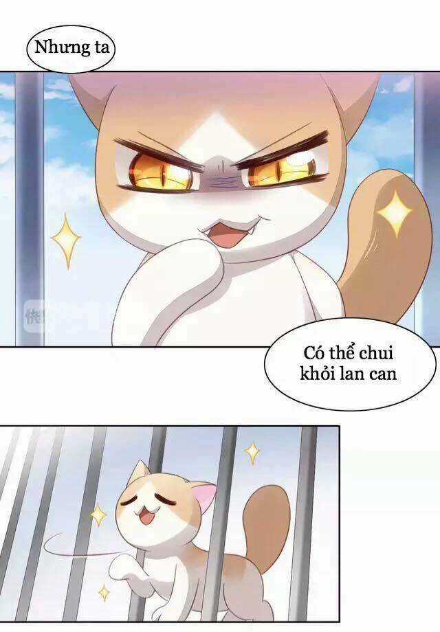 Dưới Móng Vuốt Mèo - Chapter 15 - Trang 39