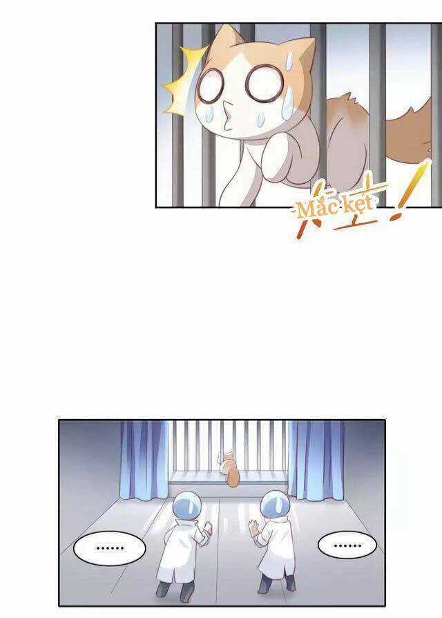 Dưới Móng Vuốt Mèo - Chapter 15 - Trang 40