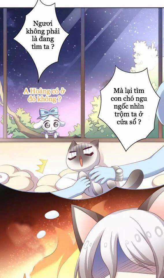 Dưới Móng Vuốt Mèo - Chapter 15 - Trang 5