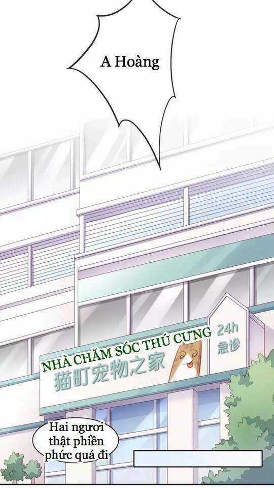 Dưới Móng Vuốt Mèo - Chapter 15 - Trang 42