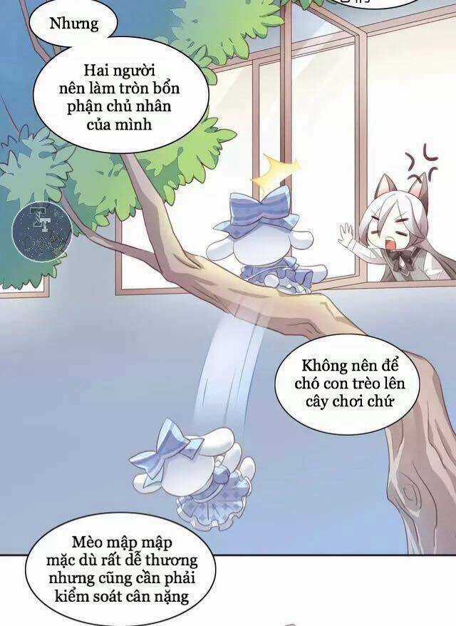 Dưới Móng Vuốt Mèo - Chapter 15 - Trang 45