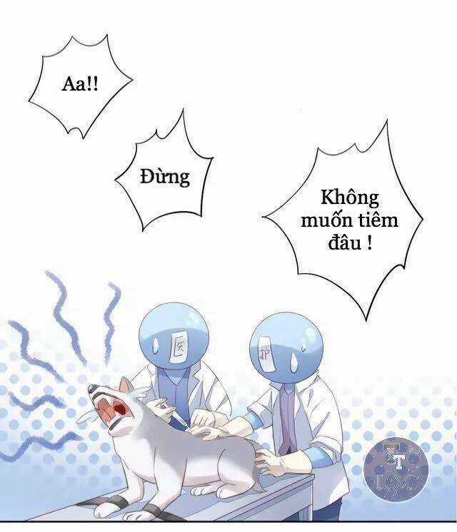 Dưới Móng Vuốt Mèo - Chapter 15 - Trang 48