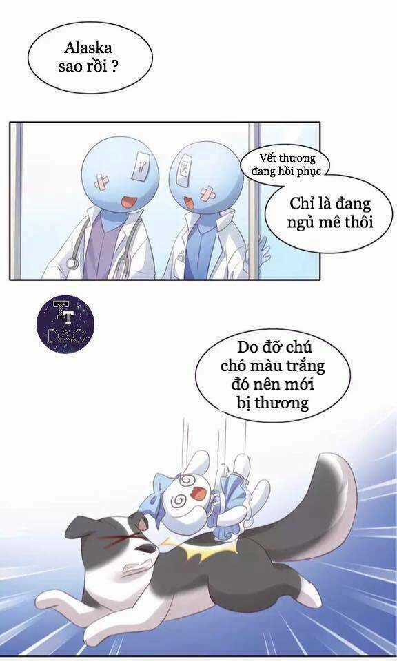 Dưới Móng Vuốt Mèo - Chapter 15 - Trang 52