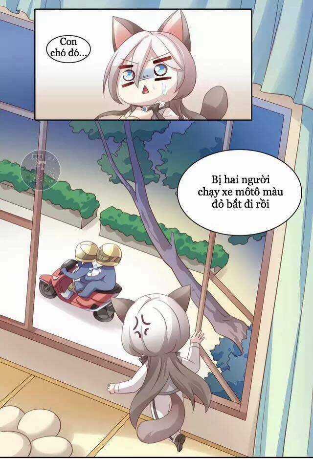 Dưới Móng Vuốt Mèo - Chapter 15 - Trang 8