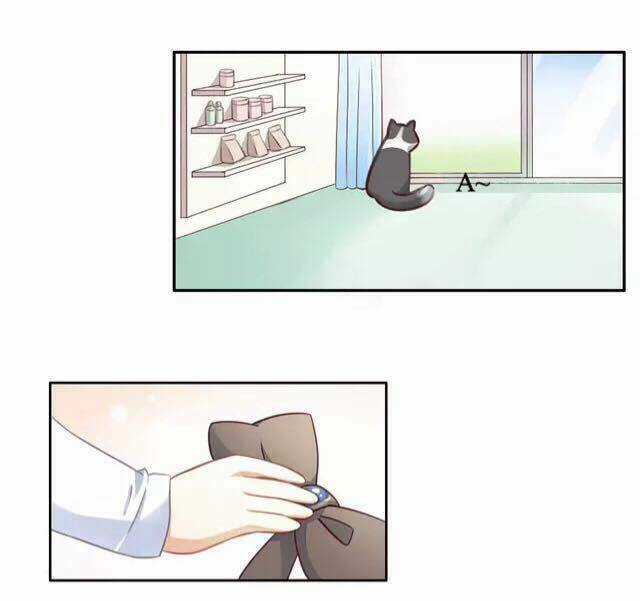 Dưới Móng Vuốt Mèo - Chapter 16 - Trang 13