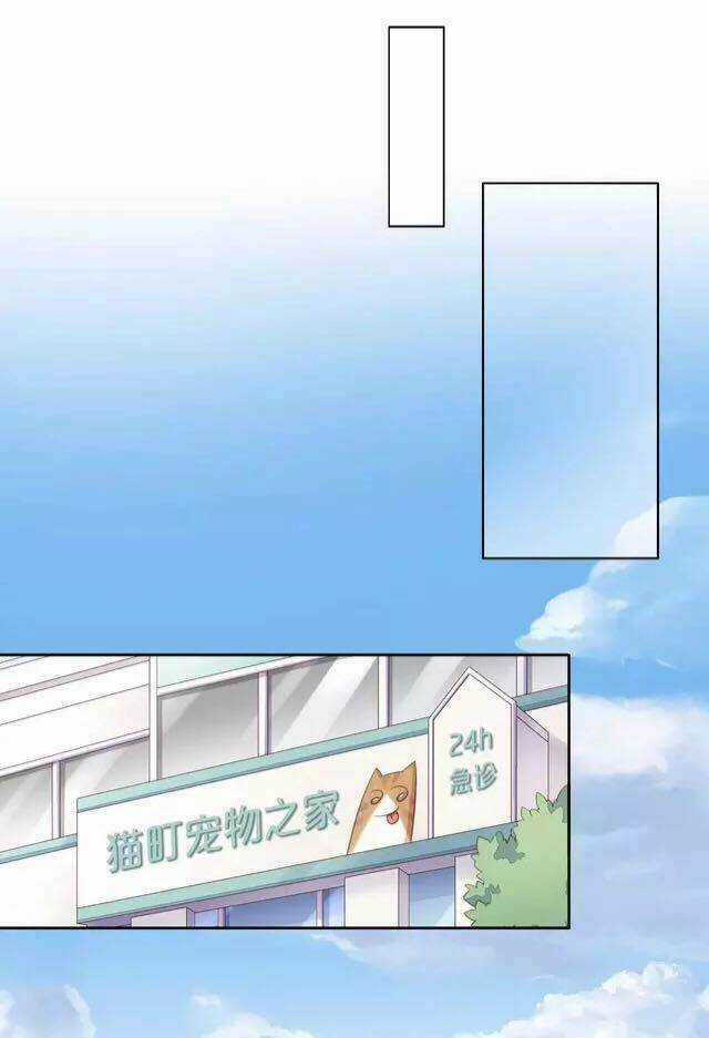 Dưới Móng Vuốt Mèo - Chapter 16 - Trang 24