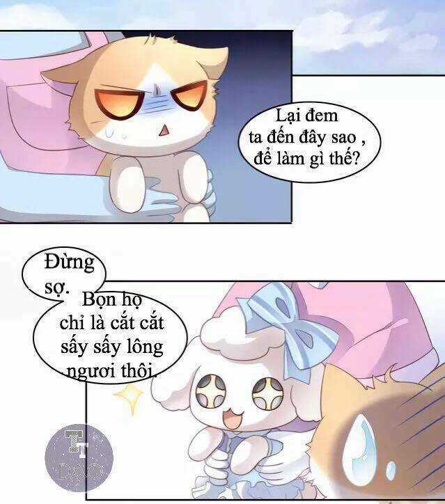 Dưới Móng Vuốt Mèo - Chapter 16 - Trang 25