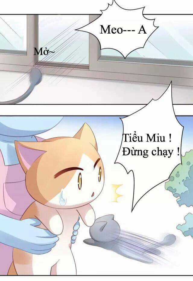 Dưới Móng Vuốt Mèo - Chapter 16 - Trang 27
