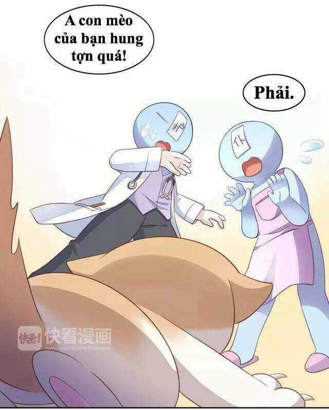 Dưới Móng Vuốt Mèo - Chapter 16 - Trang 35