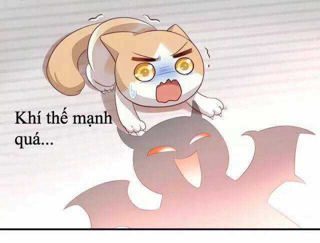 Dưới Móng Vuốt Mèo - Chapter 16 - Trang 38