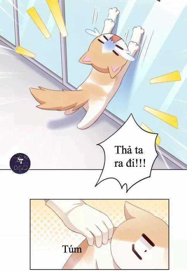Dưới Móng Vuốt Mèo - Chapter 16 - Trang 40