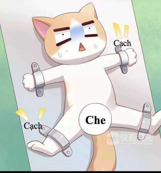 Dưới Móng Vuốt Mèo - Chapter 16 - Trang 42