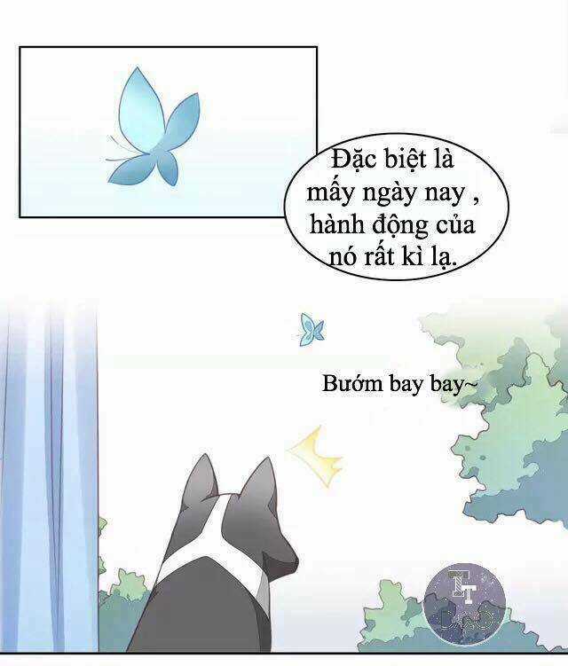 Dưới Móng Vuốt Mèo - Chapter 16 - Trang 6