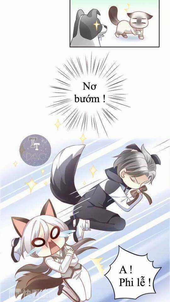 Dưới Móng Vuốt Mèo - Chapter 16 - Trang 8