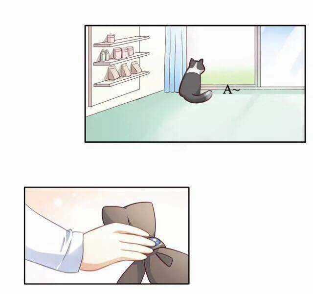 Dưới Móng Vuốt Mèo - Chapter 17 - Trang 13