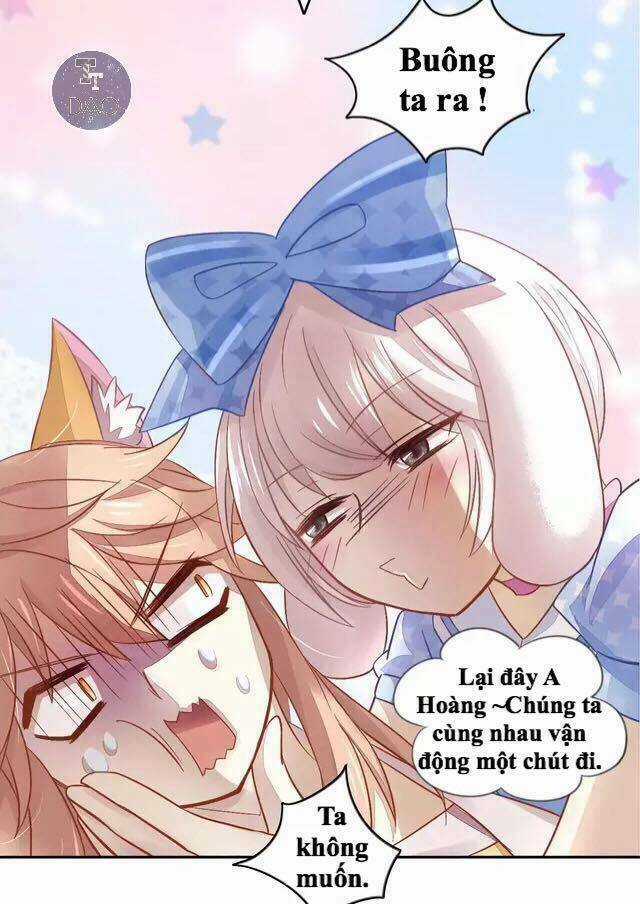 Dưới Móng Vuốt Mèo - Chapter 17 - Trang 18