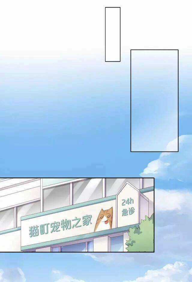 Dưới Móng Vuốt Mèo - Chapter 17 - Trang 24