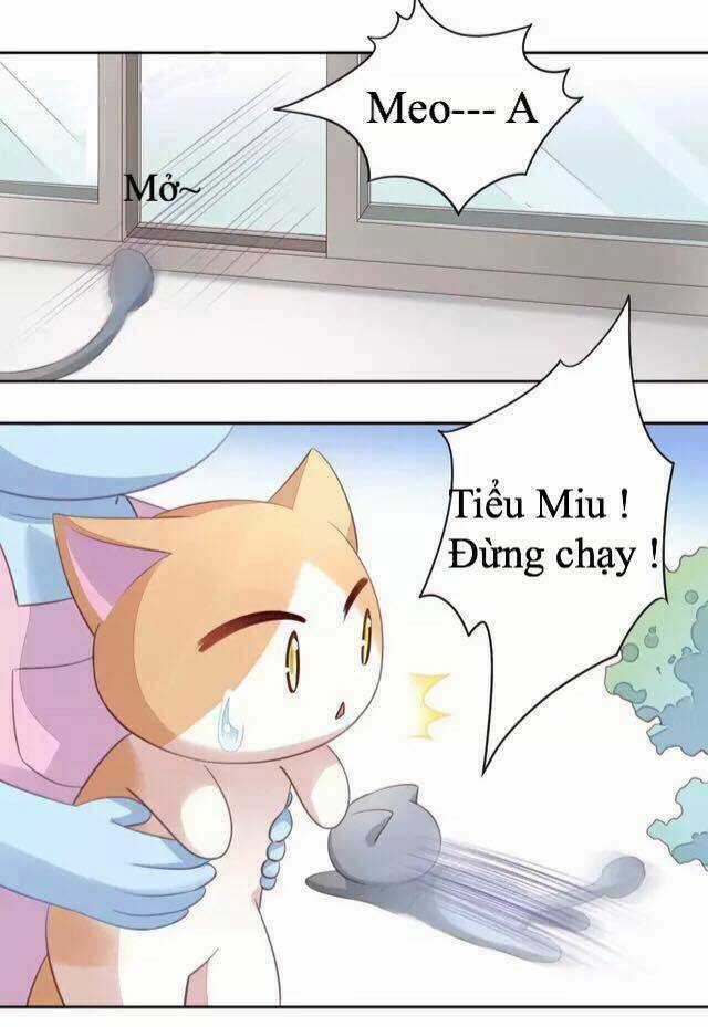 Dưới Móng Vuốt Mèo - Chapter 17 - Trang 27