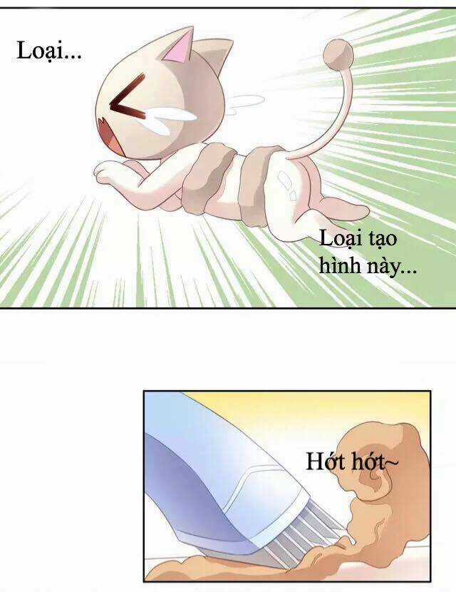 Dưới Móng Vuốt Mèo - Chapter 17 - Trang 28