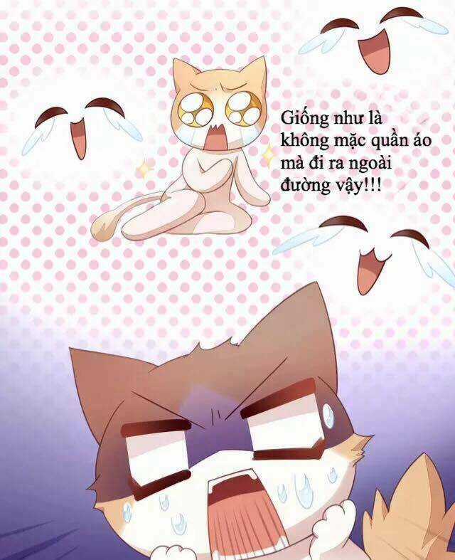 Dưới Móng Vuốt Mèo - Chapter 17 - Trang 29