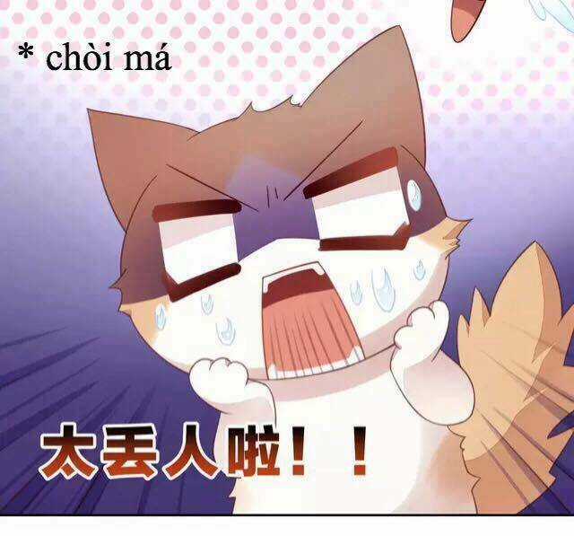 Dưới Móng Vuốt Mèo - Chapter 17 - Trang 30