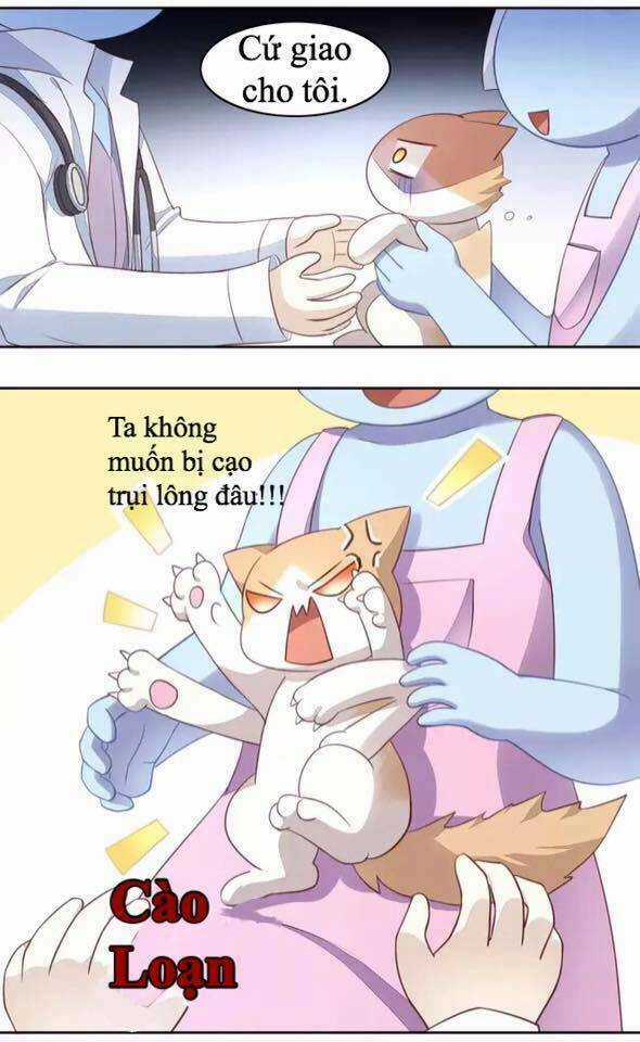 Dưới Móng Vuốt Mèo - Chapter 17 - Trang 33