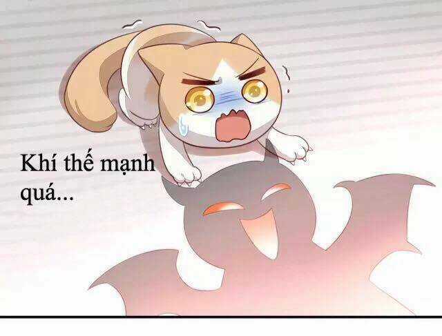 Dưới Móng Vuốt Mèo - Chapter 17 - Trang 38