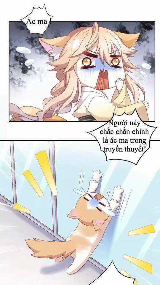 Dưới Móng Vuốt Mèo - Chapter 17 - Trang 39