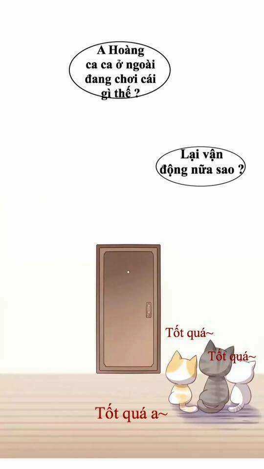 Dưới Móng Vuốt Mèo - Chapter 17 - Trang 46