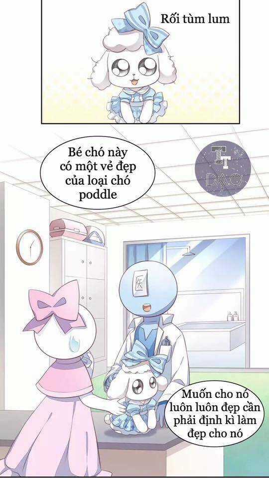 Dưới Móng Vuốt Mèo - Chapter 17 - Trang 47