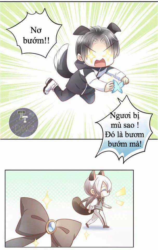 Dưới Móng Vuốt Mèo - Chapter 17 - Trang 7