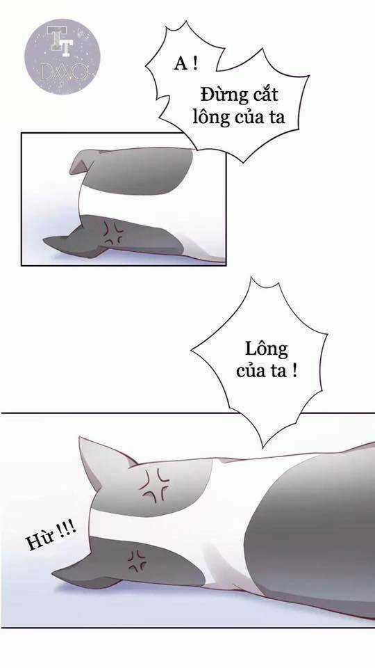 Dưới Móng Vuốt Mèo - Chapter 17 - Trang 63