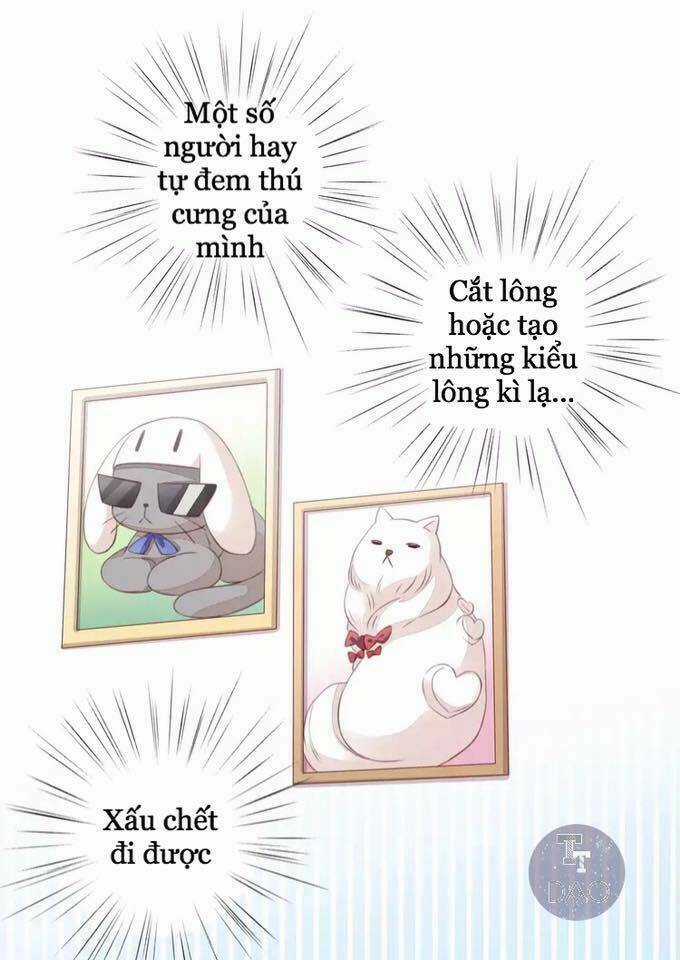 Dưới Móng Vuốt Mèo - Chapter 17 - Trang 65