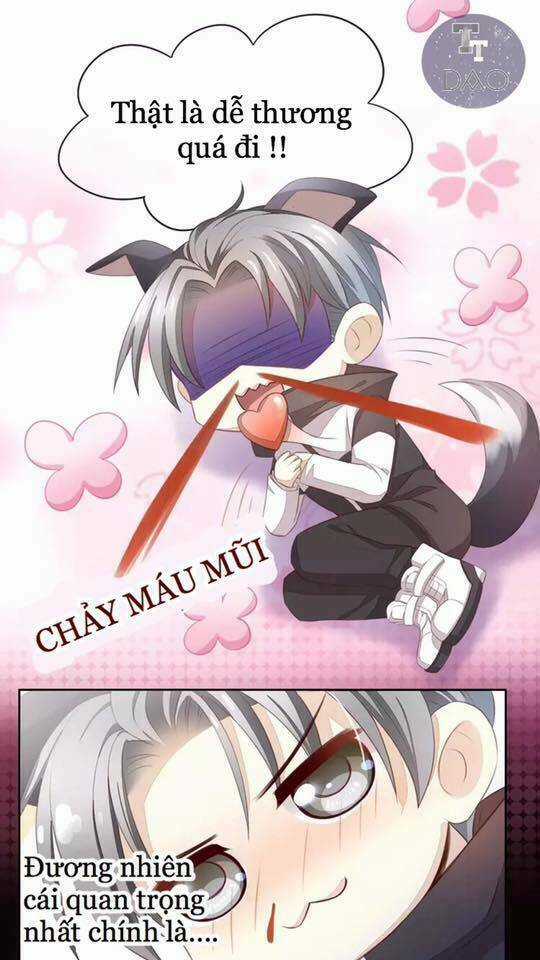 Dưới Móng Vuốt Mèo - Chapter 17 - Trang 68