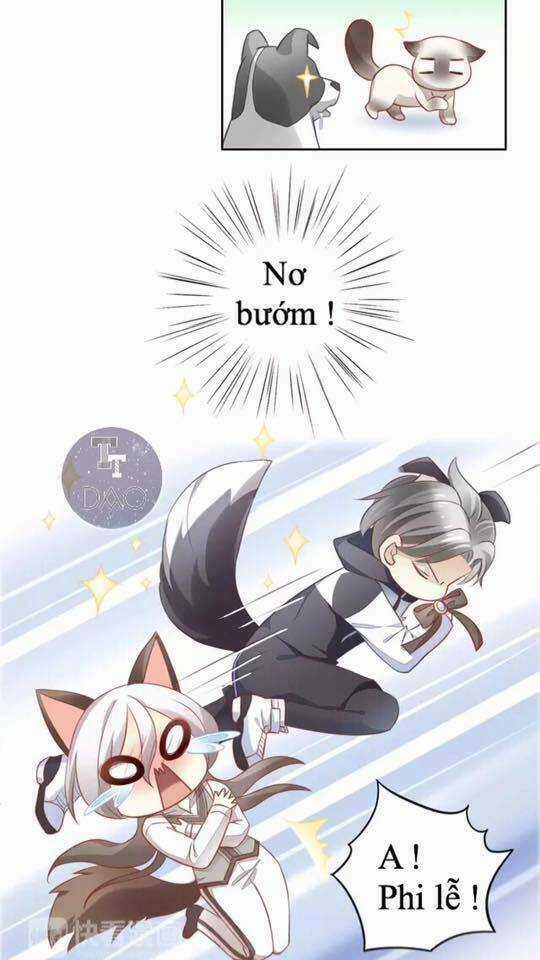 Dưới Móng Vuốt Mèo - Chapter 17 - Trang 8