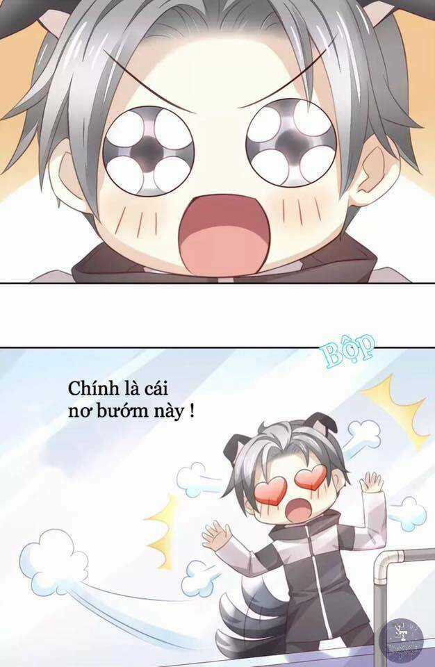 Dưới Móng Vuốt Mèo - Chapter 17 - Trang 71