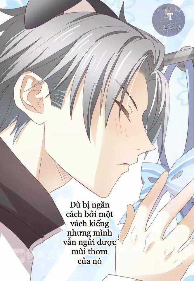 Dưới Móng Vuốt Mèo - Chapter 17 - Trang 72