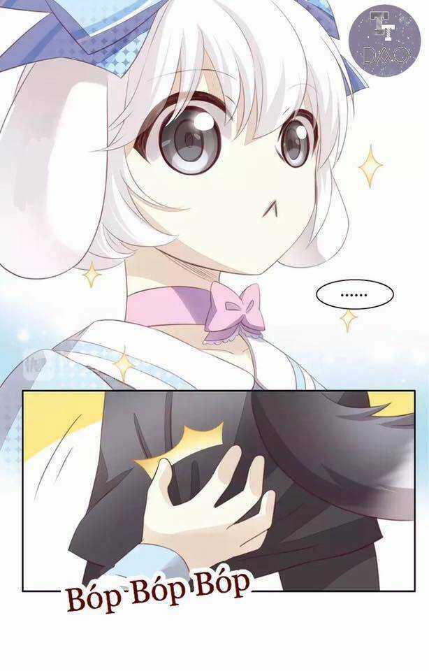 Dưới Móng Vuốt Mèo - Chapter 17 - Trang 82