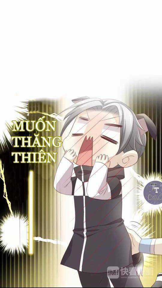 Dưới Móng Vuốt Mèo - Chapter 17 - Trang 83